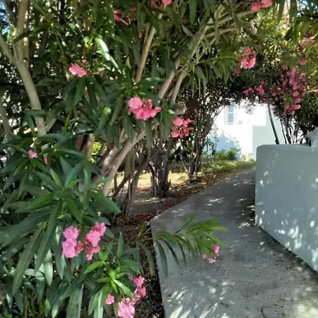 Apartment Fino Megali Ammos (Mykonos)