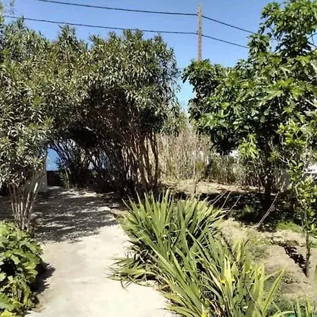 Apartment Fino