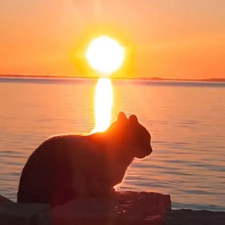 Fino Appartamento Megali Ammos (Mykonos)