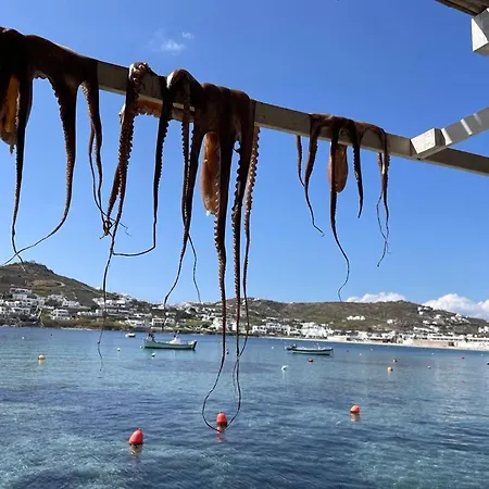 Fino * Megali Ammos (Mykonos)