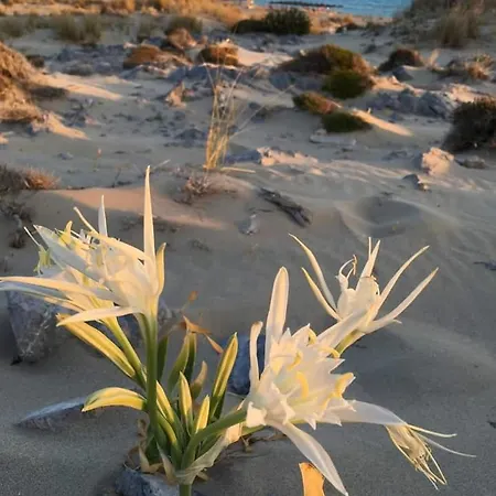 Appartamento Fino Megali Ammos (Mykonos)