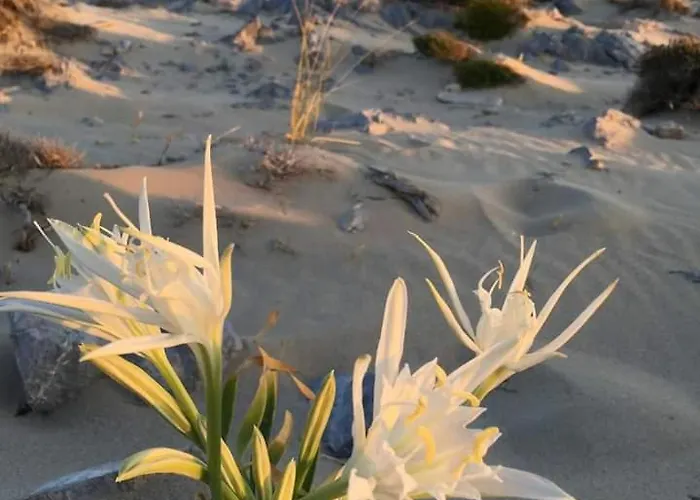 Lägenhet Fino Mykonos Town