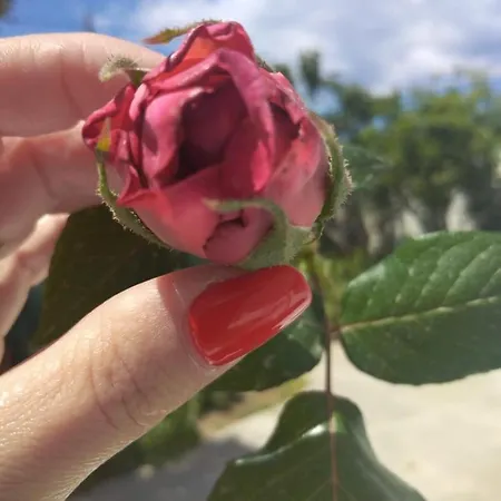 Fino Διαμέρισμα