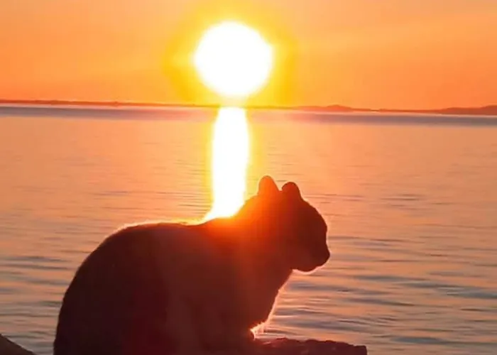 Fino Апартаменты Mykonos Town