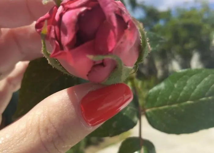 Fino Апартаменты